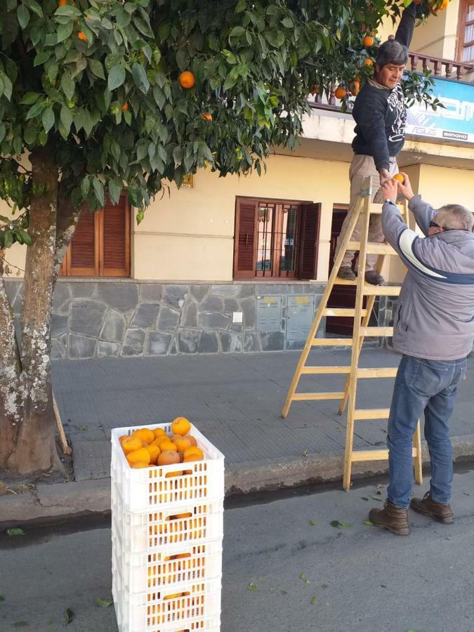 La Francisca Apartment San Salvador de Jujuy Bagian luar foto